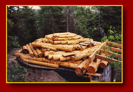 logtimber 7